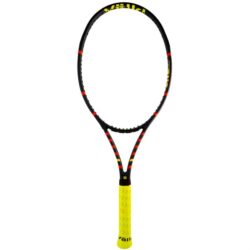 Volkl C10 EVO